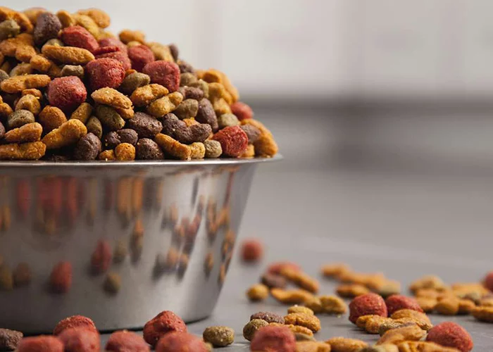 Fornecedores de ração para pet shop