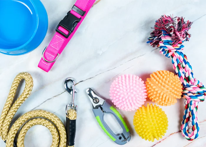 como montar um pet shop de sucesso