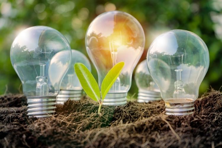 Como vender crédito de carbono? Entenda como funciona