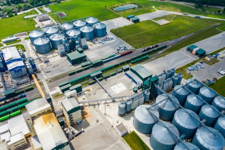 Como vender crédito de carbono? Entenda como funciona