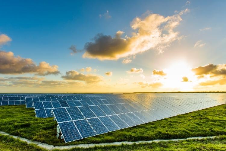 Como vender crédito de carbono? Entenda como funciona